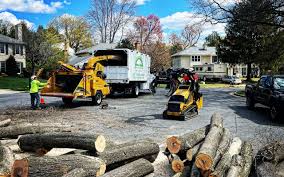 Best Hazardous Tree Removal  in Gordon, PA