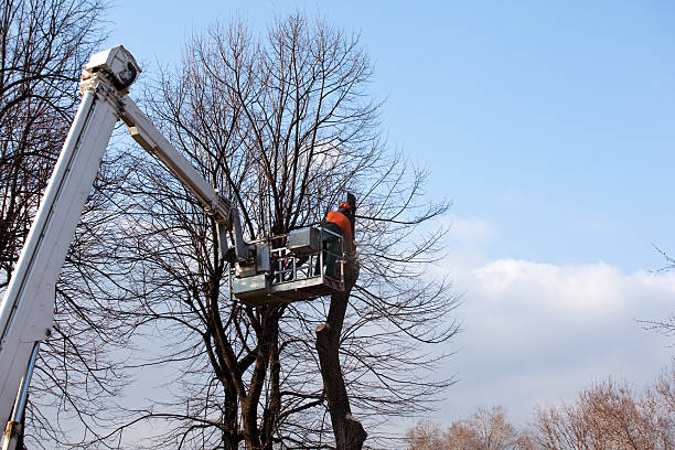 Best Mulching Services  in Gordon, PA